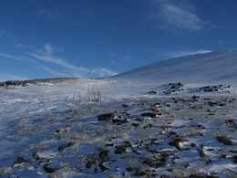 ��������, 17 ����� 2009