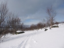 ��������, 18 ����� 2009