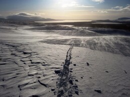 ������, 19 ����� 2009