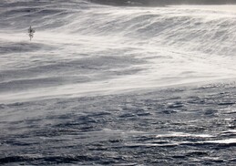 ������, 19 ����� 2009