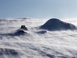 ������, 19 ����� 2009