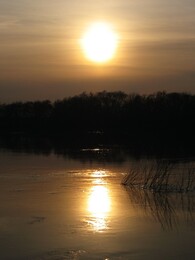 �����������, 11 ������ 2009