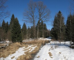 �����������, 18 ������ 2009