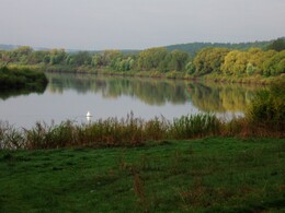 ���� ���, �����������, 11 ��� 2009