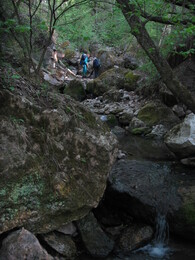 ��������� �������, �����������, 11 ��� 2009