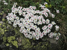 ������������, 13 ���� 2009