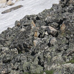 ������������ ������, 16 ���� 2009