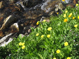 ������������ ������, 16 ���� 2009