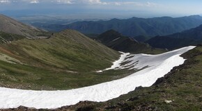 ������������ ������, 19 ���� 2009