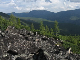 ����-������� ������, 25 ���� 2009