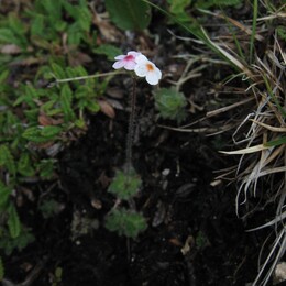 ����-������� ������, 30 ���� 2009