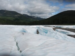 ����-������� ������, 1 ������� 2009