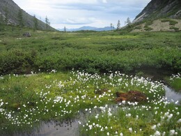 ������-������� ������, 3 ������� 2009