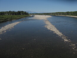 ������-������� ������, 5 ������� 2009