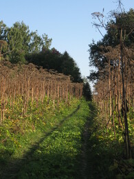 �����������, 5 �������� 2009