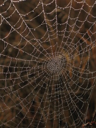 ����������� �������, 16 ������� 2009