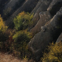 ����������� �������, 16 ������� 2009