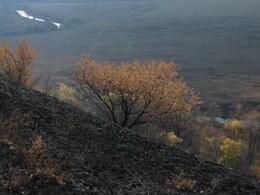 ����������� �������, 16 ������� 2009