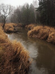 �����������, 14 ������ 2009