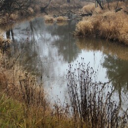 �����������, 14 ������ 2009