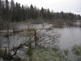 �����������, 6 ������� 2009