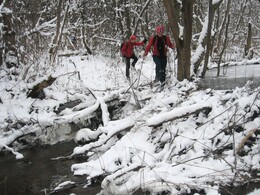 �����������, 12 ������� 2009