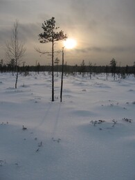 �������� �������, 5 ������ 2010