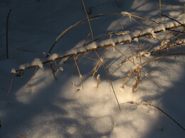 �������� �������, 6 ������ 2010