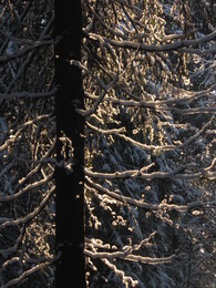 �������� �������, 6 ������ 2010