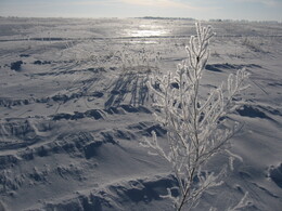 �����������, 7 ������� 2010