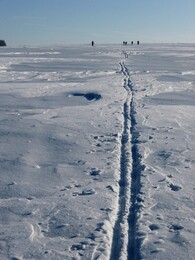 �����������, 7 ������� 2010