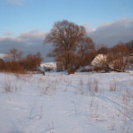 �����������, 6 ����� 2010