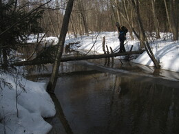 �����������, 28 ����� 2010