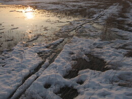 �����������, 28 ����� 2010