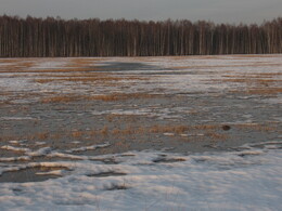 �����������, 28 ����� 2010