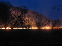 ������� ����� � ���� ������, �����������, 3 ������ 2010