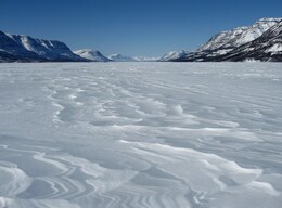 ����� ��������, 14 ������ 2010