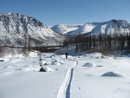 ����� ��������, 14 ������ 2010