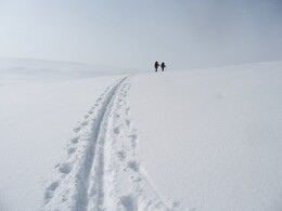 ����� ��������, 18 ������ 2010