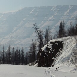 ����� ��������, 18 ������ 2010