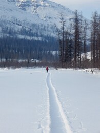 ����� ��������, 18 ������ 2010