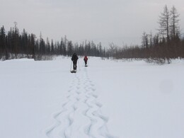 ����� ��������, 18 ������ 2010