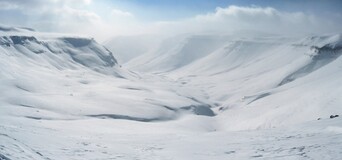 ����� ��������, 22 ������ 2010