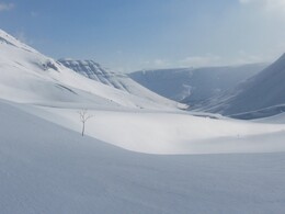 ����� ��������, 22 ������ 2010