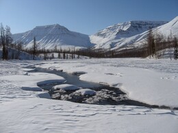 ����� ��������, 23 ������ 2010