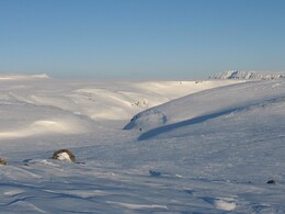 ����� ��������, 23 ������ 2010