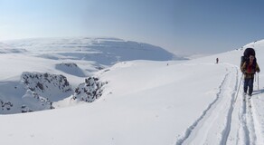 ����� ��������, 29 ������ 2010