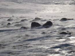 ����� ��������, 1 ��� 2010