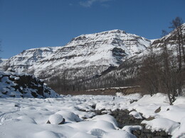 ����� ��������, 2 ��� 2010