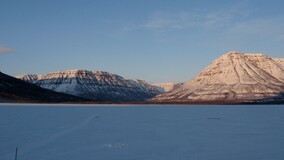 ����� ��������, 2 ��� 2010